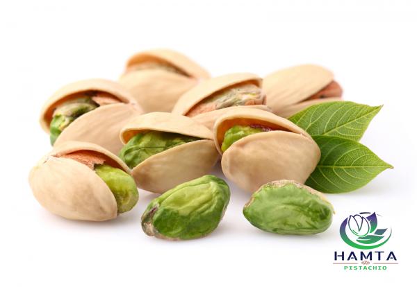 Purchase fandoghi pistachio in bulk