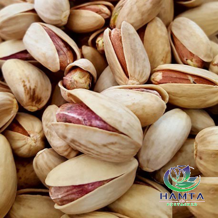 Ahmad aghaei pistachio Wholesale price