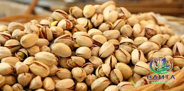 Round pistachio Price Fluctuation