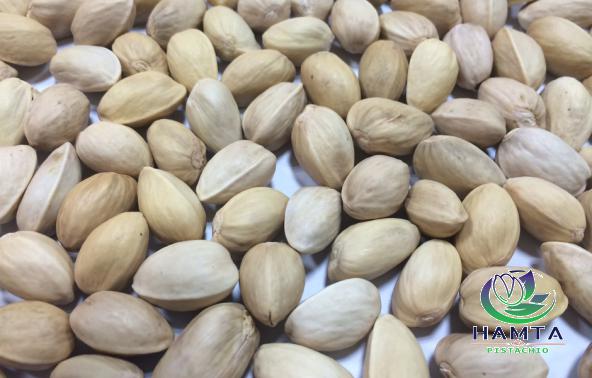 Latest price of pistachio closed shell