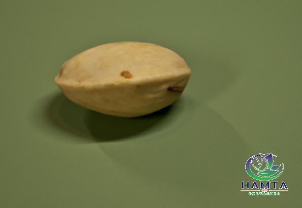 Pistachio closed shell price in 2021