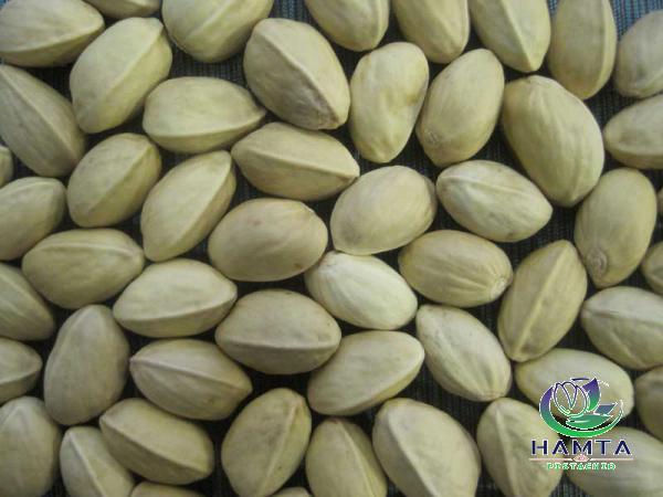 Different types of pistachio closed shell